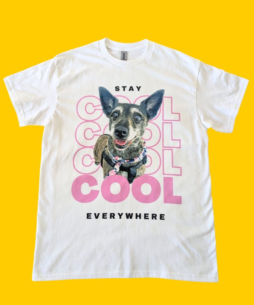 White t-shirt with dog photo and “Stay Cool Everywhere” design printed by PrinteeClub – custom t-shirt printing in Montreal